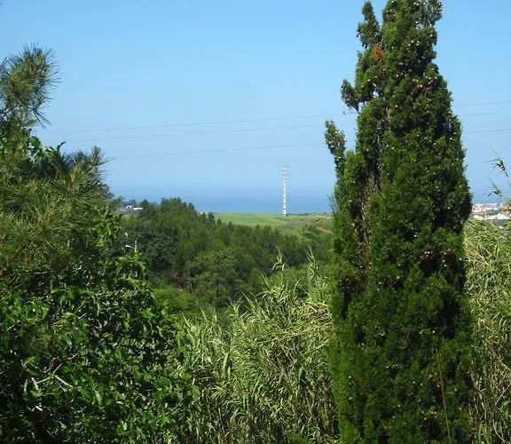 컨트리하우스 Quinta Alfazemas