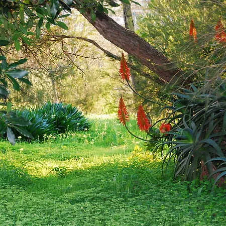 Quinta Alfazemas