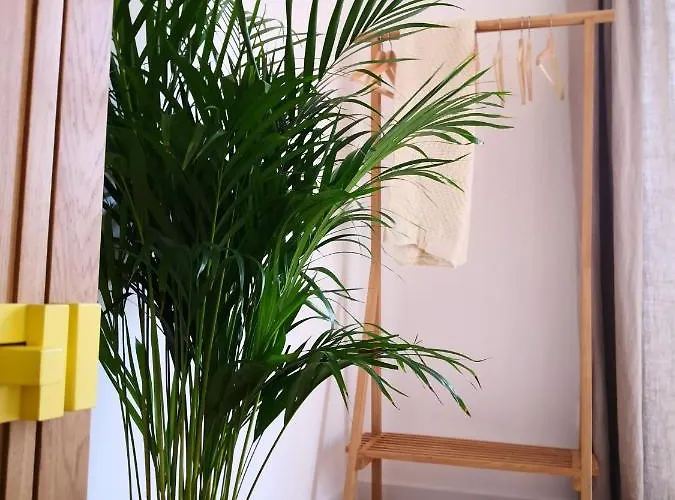 Quinta Alfazemas 컨트리하우스