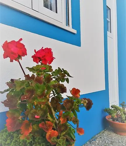 Quinta Alfazemas 에리세이라